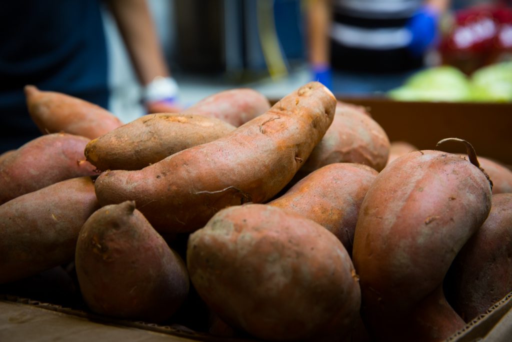 Sweet Potato