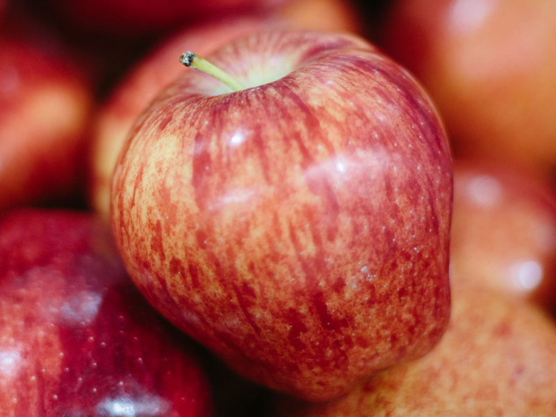 Apple Recipes in the Kitchen San Food Bank