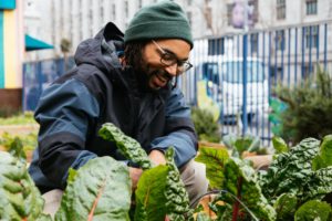 A person smiles down at Swiss chard in the People's Garden. 